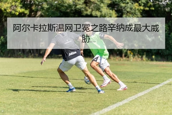 a-er-ka-la-si-wen-wang-wei-mian-zhi-lu-xin-na-cheng-zui-da-wei-xie-2-807.jpg